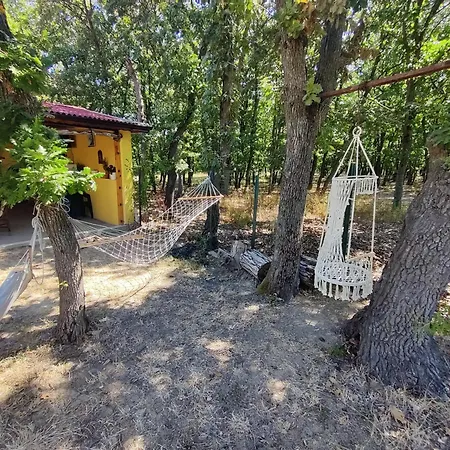 Къща за гости Sirius 3*