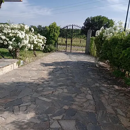 Sirius Guest house Sinemoretz