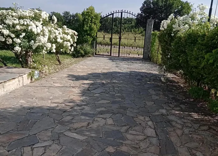 Sirius Konukevi Sinemoretz